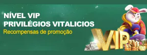 Bônus diário imperdível 312 bet