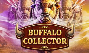 Buffalo Collector Game